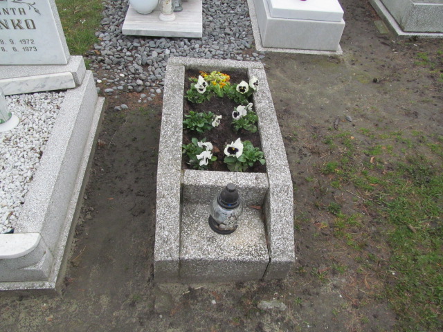  NN Mikołów Paniowy - Grobonet - Wyszukiwarka osób pochowanych